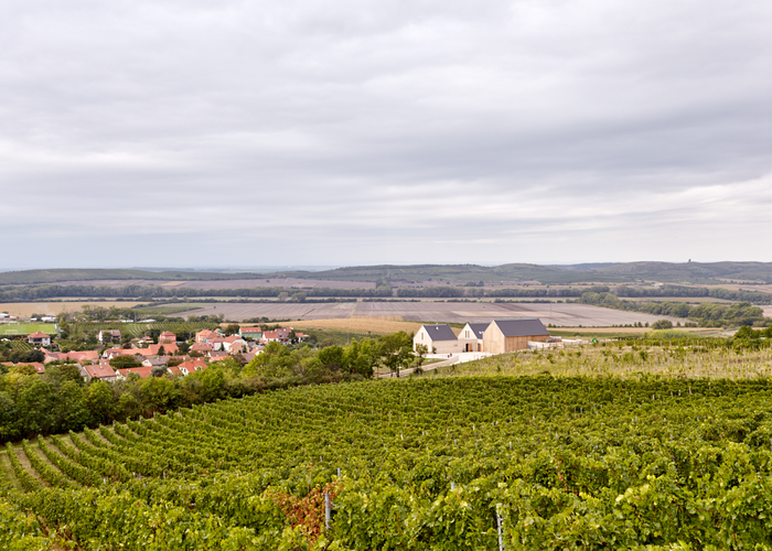 © Weingut Gala